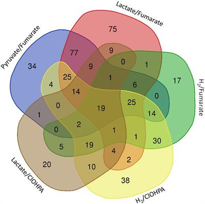 Proteome adaptations of the organohalide-respiring Desulfitobacterium hafniense strain DCB-2 to various energy metabolisms